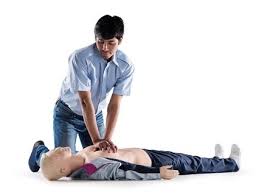 Hình nhân hô hấp nhân tạo Laerdal AS Hình nhân hô hấp nhân tạo Laerdal AS
